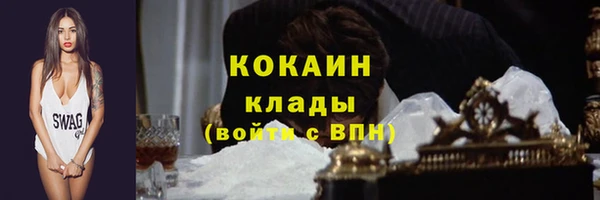твердый Алексеевка