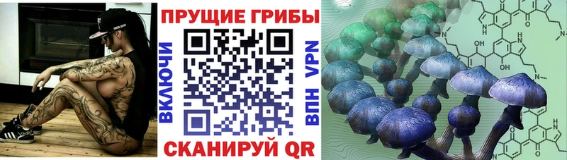 Псилоцибиновые грибы Psilocybine cubensis  Дудинка 
